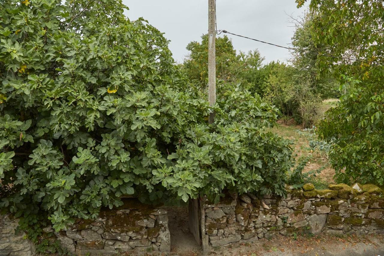 Appartamento A Cucada Sabariz Esterno foto